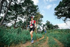 BIB: 
                            <button type="button" onclick="openModal(26036856)" class="btn btn-primary btn-sm float-right btn-popup" data-toggle="modal" data-target=".modal-high-quality">
                        <i class="fas fa-shopping-cart"></i> Add to Cart
                    </button>
                                            <button type="button" onclick="isThisMe(26036856, true)" class="btn btn-success btn-sm float-right btn-popup btn-isme hidden" data-toggle="tooltip" data-placement="bottom" title="นี่คือรูปของคุณใช่ไหม คลิกที่นี่เพื่อเอาเข้าอัลบั้ม">
                        <i class="fas fa-plus"></i> Add to album
                    </button>
                    <button type="button" onclick="isThisMe(26036856, false)" class="btn btn-warning btn-sm float-right btn-popup btn-isnotme hidden">
                        <i class="fas fa-ban"></i> Remove from album
                    </button>